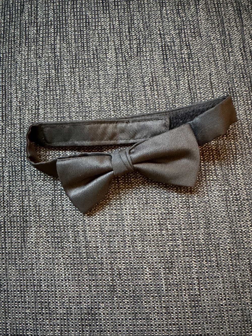 Cat & Jack Black Bow Tie